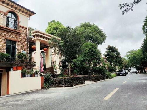 深圳龙山庄最新爆料事件,神秘事件真相揭晓