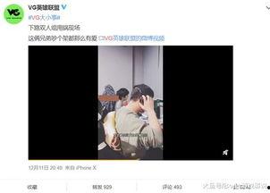 马少伟最新爆料视频播放,事件真相与幕后黑手